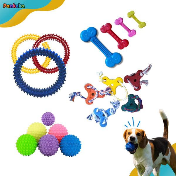 Kit Brinquedo Mordedor e Massageador para Cães