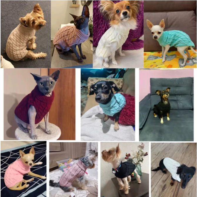 Roupa de Frio Cachorro e Gato