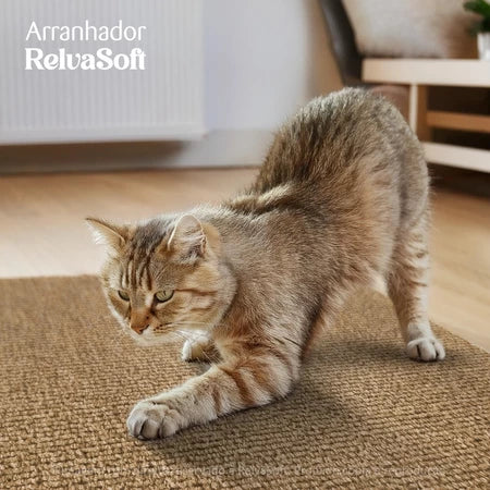 Arranhador Adesivo: Sofá, Cama e Móveis Para Gato