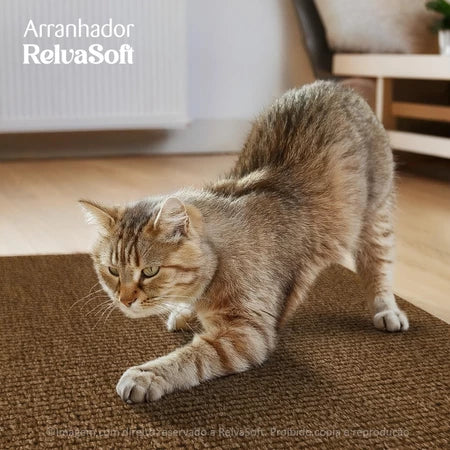 Arranhador Adesivo: Sofá, Cama e Móveis Para Gato