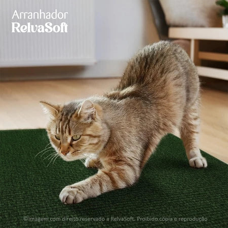 Arranhador Adesivo: Sofá, Cama e Móveis Para Gato