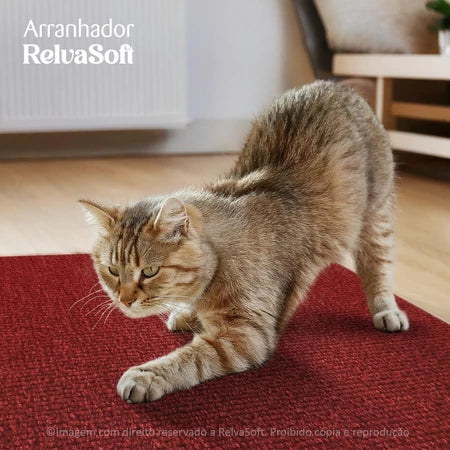Arranhador Adesivo: Sofá, Cama e Móveis Para Gato