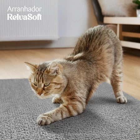 Arranhador Adesivo: Sofá, Cama e Móveis Para Gato