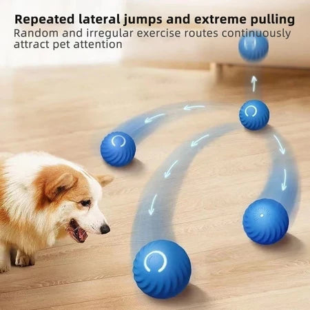 Bolinha Eletrônica Para Cachorro