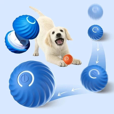 Bolinha Eletrônica Para Cachorro