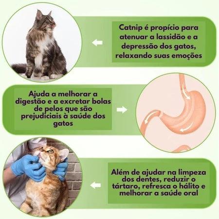 Abacate De Brinquedo Para Gatos